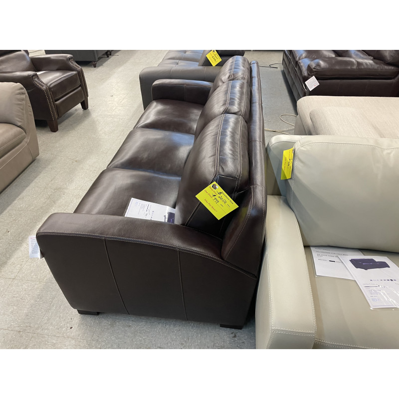 Kalana Leather Sleep Sofa